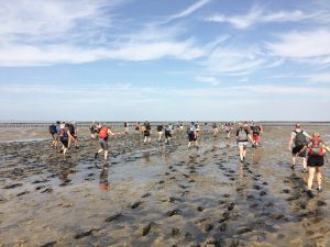 20160820_Wadlopen