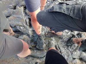 20160820_Wadlopen_vies